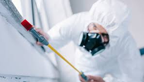 Best Residential Pest Control  in Lan, MI